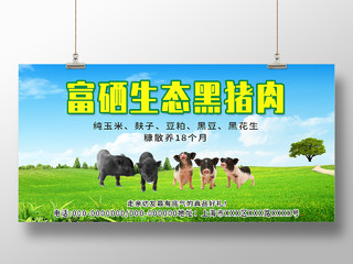 蓝色大气富硒生态黑猪肉美食宣传活动展板黑猪展板